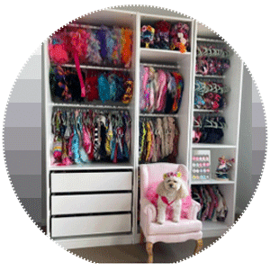 modelos de roupas pet